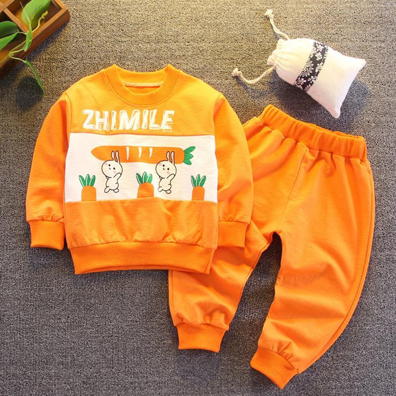 2-piece Rabbit Pattern Sweatshirt & Pants for Toddler Girl - PrettyKid