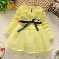 Princess Dress for Toddler Girl - PrettyKid