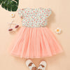 Bow Floral Print Mesh Panel Dress Little Princess Dresses For Toddlers - PrettyKid