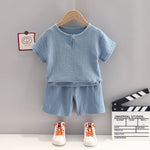 Baby And Toddler Outfit Set Solid Color Shorts Top & Shorts - PrettyKid