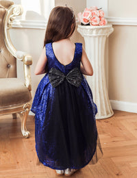 Girl Prom Sequin Dress Tail Princess Skirt Mesh Dress - PrettyKid