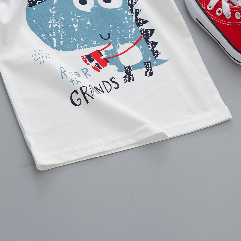 2-piece Cartoon Design T-shirt & Shorts for Toddler Boy Wholesale children's clothing - PrettyKid