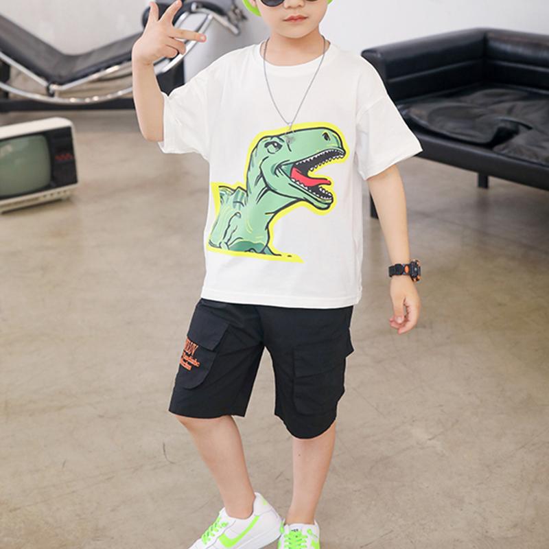 Boy Dinosaur Pattern T-shirt & Knee Length Pants - PrettyKid
