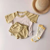 6M-3Y Baby Raglan Sleeves Hit Color Tops & Shorts Wholesale Baby Boutique Clothing - PrettyKid