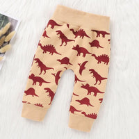 Baby Boys Dinosaur Printed Hooded Top & Pants Baby Wholesale Clothing - PrettyKid