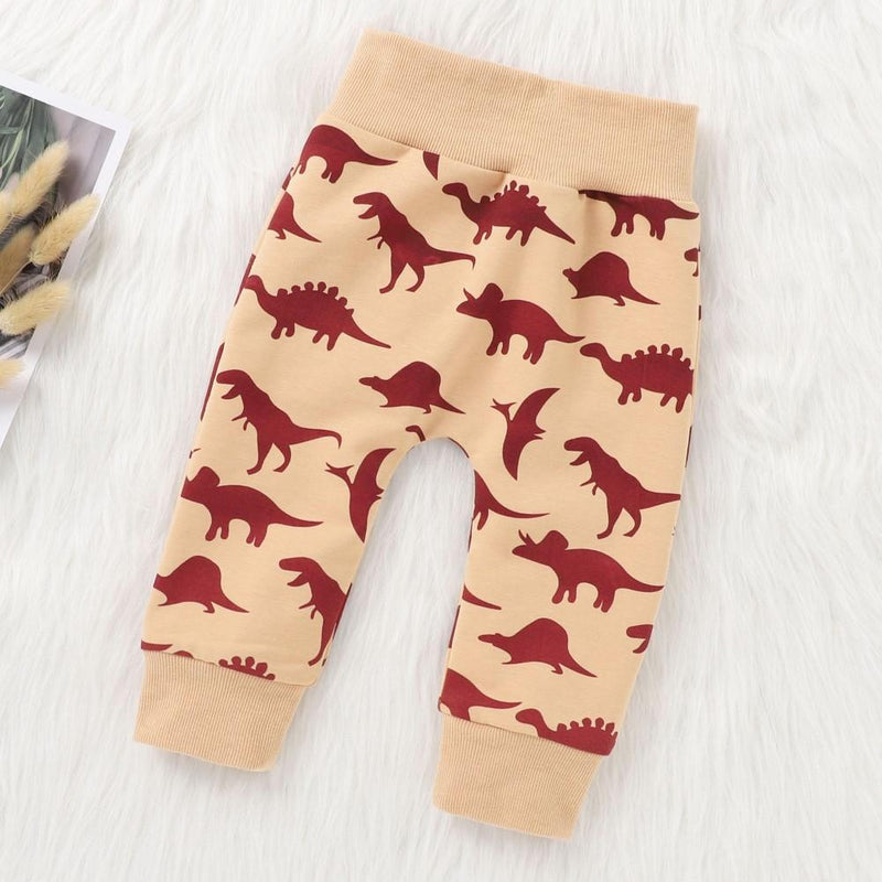 Baby Boys Dinosaur Printed Hooded Top & Pants Baby Wholesale Clothing - PrettyKid