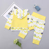 Baby Boys Unisex Long Sleeve Printed Hooded Tops&Pants Baby Clothing In Bulk - PrettyKid