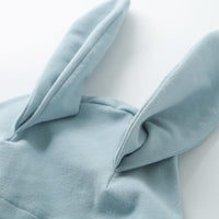 Boys Bunny Ears Hooded Top Boy Clothing Wholesale - PrettyKid