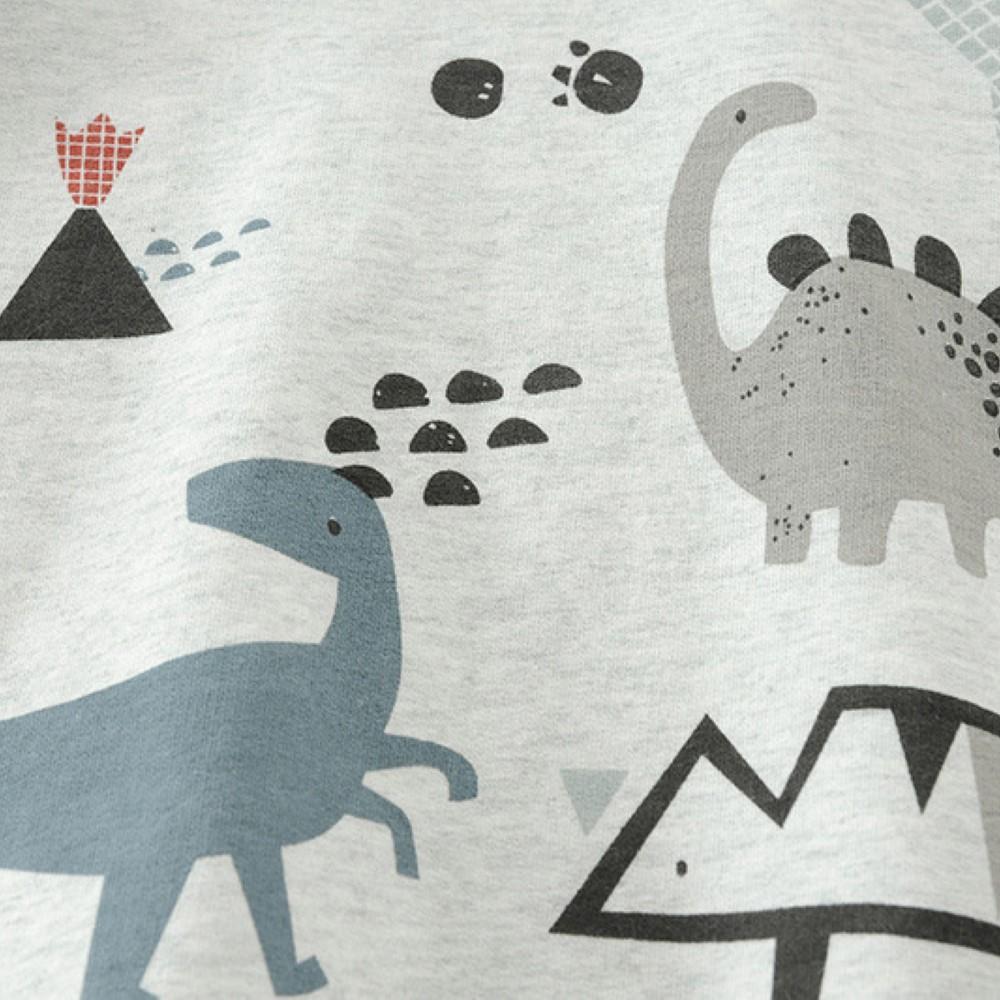 Boys Cartoon Dinosaur Printed Shirt Little Boys Wholesale Clothing - PrettyKid