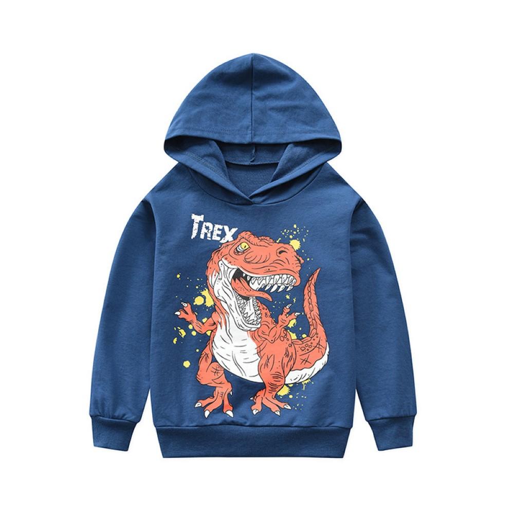 Boys Dinosaur Hooded Top Little Boys Wholesale Clothing - PrettyKid