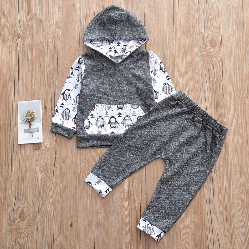 Boys Hooded Cartoon Bird Printed Top & Pants Wholesale Boys Suits - PrettyKid