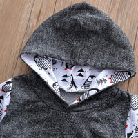 Boys Hooded Cartoon Bird Printed Top & Pants Wholesale Boys Suits - PrettyKid