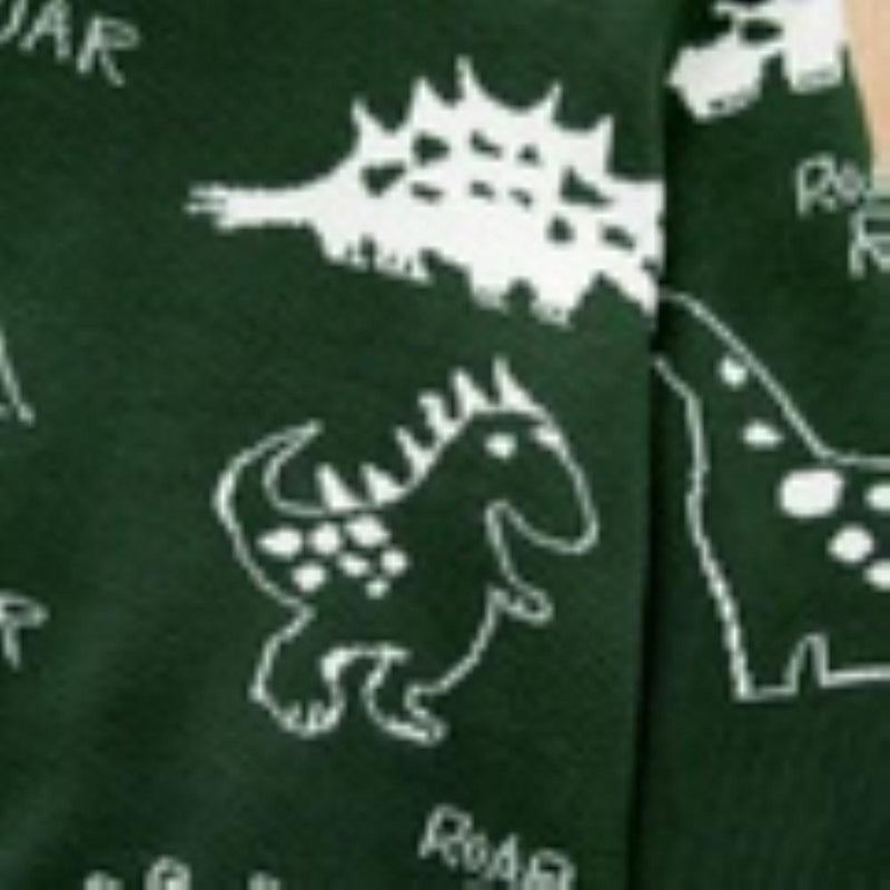 Boys Round Neck Various Cartoon Dinosaur Sweater Wholesale Boys Clothes - PrettyKid