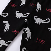 Boys T-REX Dinosaur Printed Long Sleeves Tracksuits Suits Boy Clothes Wholesale - PrettyKid