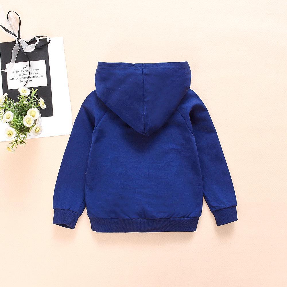 Boys Cartoon Animal Long Sleeve Hooded Tops Wholesale - PrettyKid