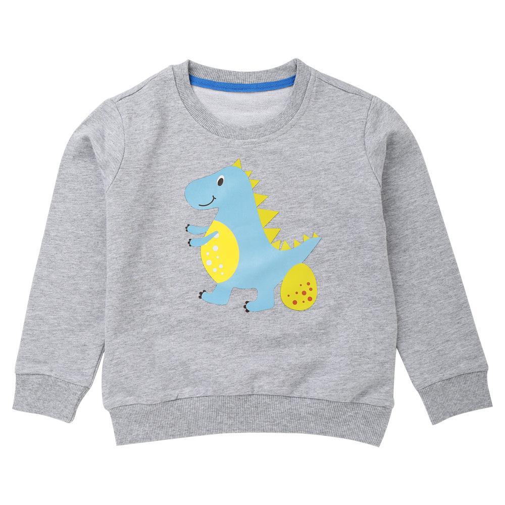 Boys Cartoon Dinosaur Cute Long Sleeve T-shirts Wholesale - PrettyKid