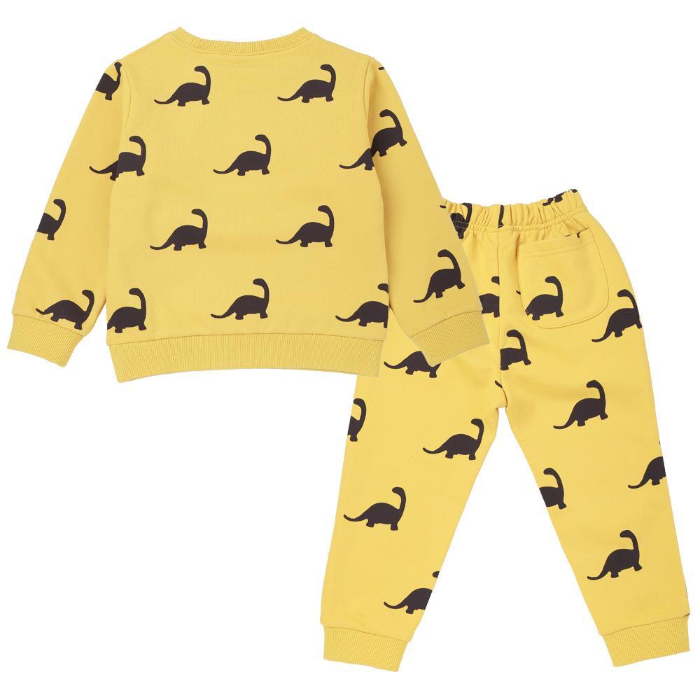 Boys Cartoon Dinosaur Long Sleeve Casual Tops & Pants Wholesale - PrettyKid