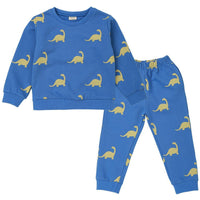 Boys Cartoon Dinosaur Long Sleeve Casual Tops & Pants Wholesale - PrettyKid