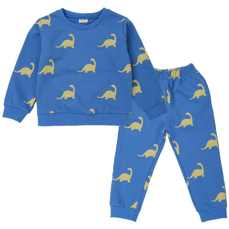 Boys Cartoon Dinosaur Long Sleeve Casual Tops & Pants Wholesale - PrettyKid