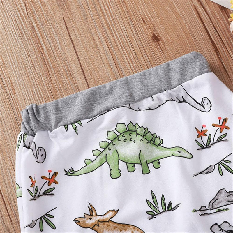 Baby Boys Cartoon Dinosaur Printed T-shirt & Pants Wholesale Baby Outfits - PrettyKid