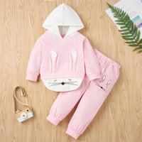 Girls Cartoon Hooded Long Sleeve Top & Trousers Baby Outfits Girl - PrettyKid