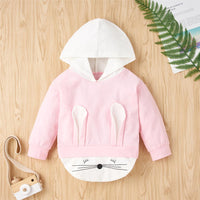 Girls Cartoon Hooded Long Sleeve Top & Trousers Baby Outfits Girl - PrettyKid