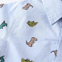 Boys Cartoon Printing Dinosaur Shirt Boys Wholesale Clothing - PrettyKid