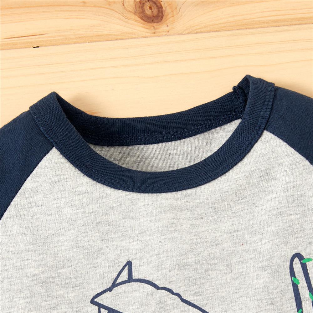 Boys Color Block Long Sleeve Dinosaur Print Tops - PrettyKid