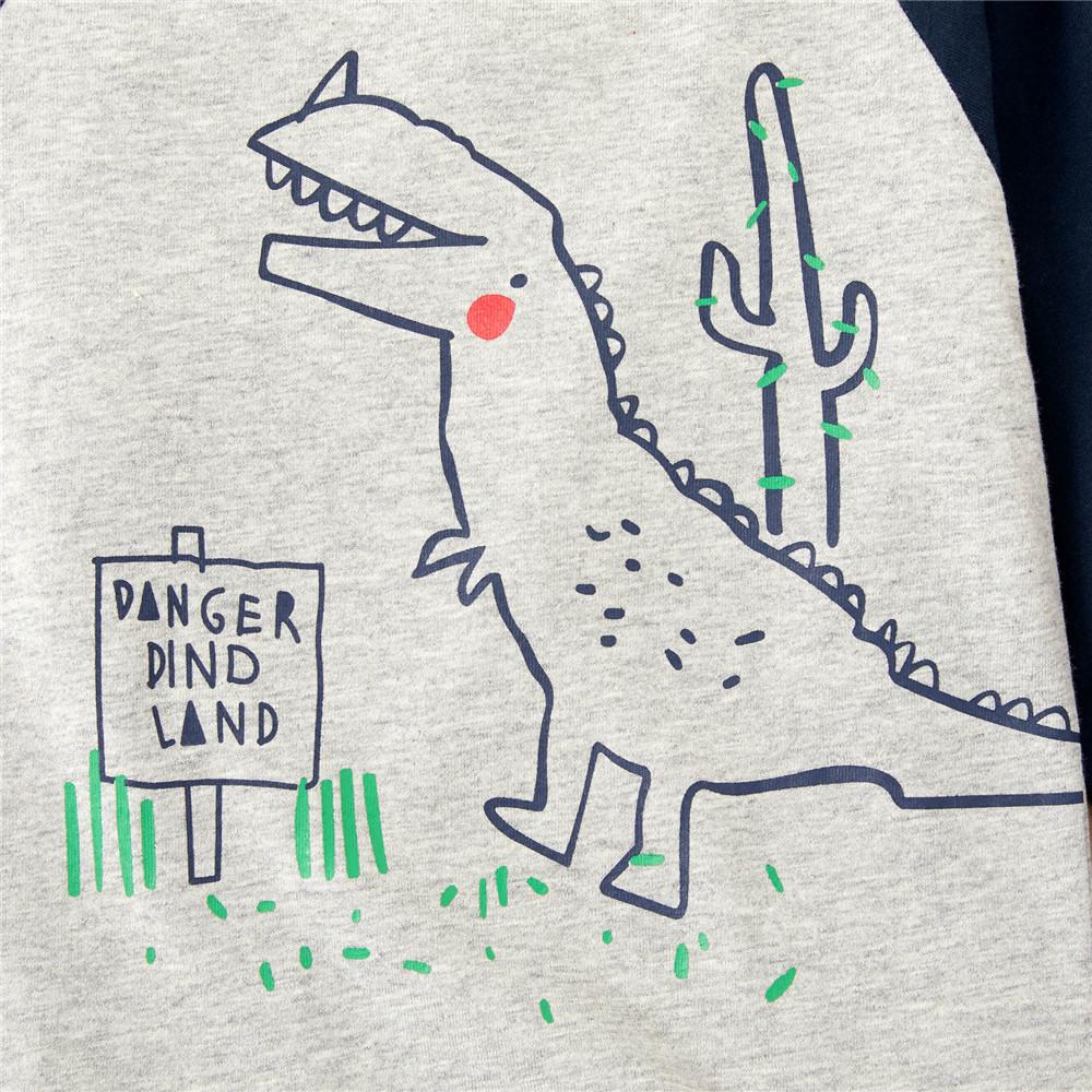 Boys Color Block Long Sleeve Dinosaur Print Tops - PrettyKid