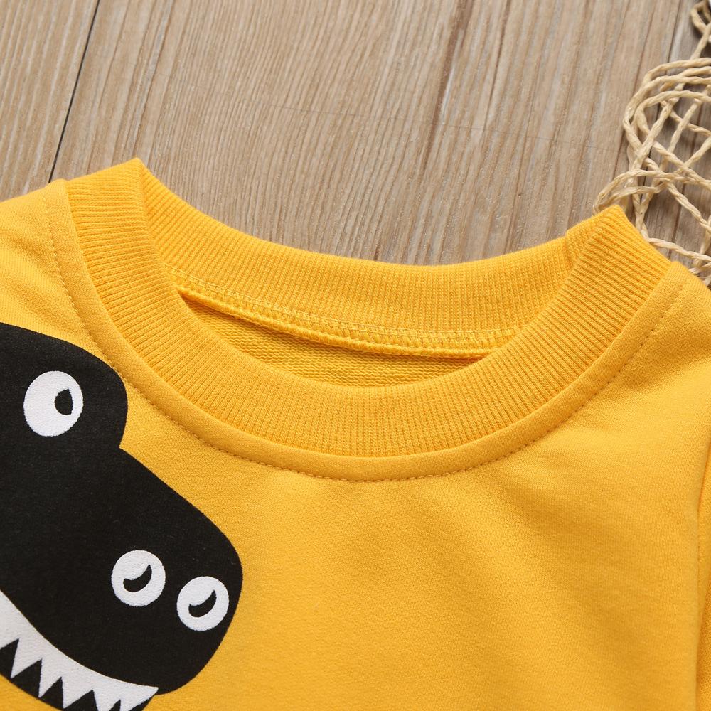 Boys Cute Dinosaur Long Sleeve Tops - PrettyKid