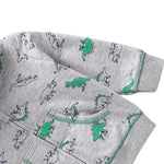 Boys Cute Dinosaur Pocket Long Sleeve Hooded Jacket - PrettyKid