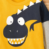 Boys Cute Dinosaur Print Long Sleeve Tees - PrettyKid