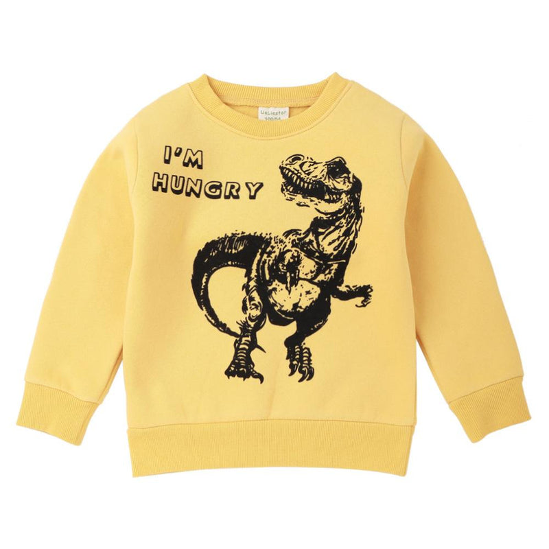 Boys Dinosaur Letter Printed Dinosaur Long Sleeve Tops Wholesale - PrettyKid