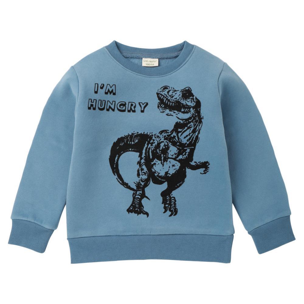 Boys Dinosaur Letter Printed Dinosaur Long Sleeve Tops Wholesale - PrettyKid