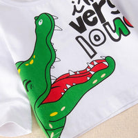 Baby Boys Dinosaur Letter Printed Tops & Bottoms Baby Wholesales - PrettyKid