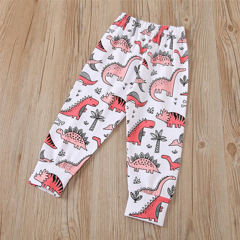 Girls Dinosaur Printed Long Sleeve T-shirt & Pants Girls Clothing Wholesale - PrettyKid
