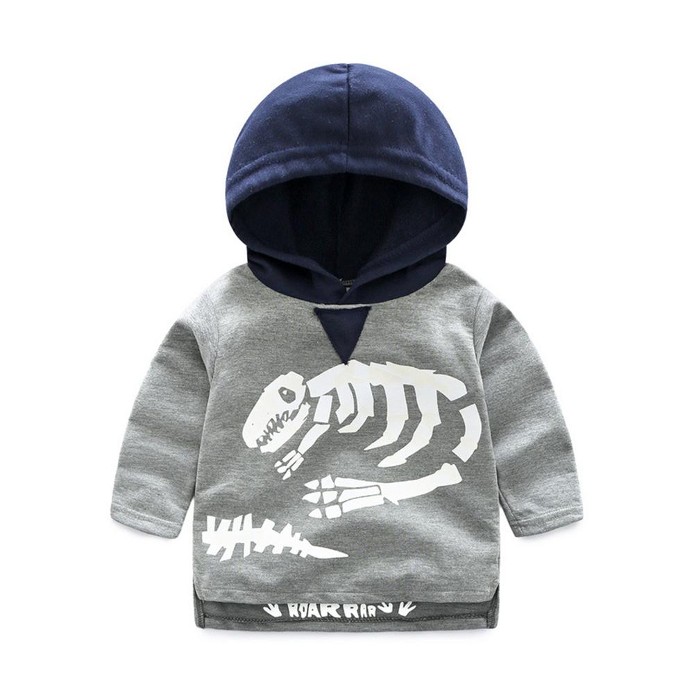 Boys Dinosaur Skeleton Printed Hooded Long Sleeve Top & Pants Wholesale Trendy Childrens Clothing - PrettyKid