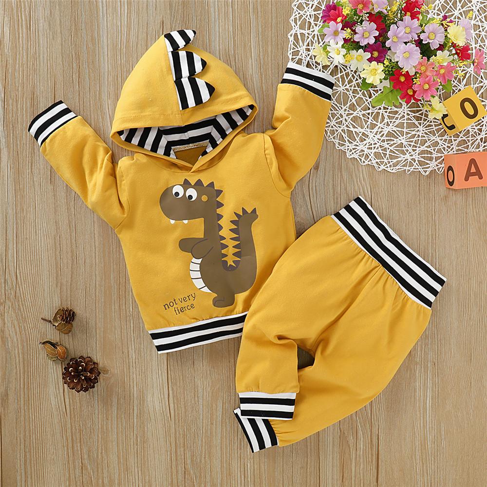 Baby Boys Dinosaur Striped Hooded Top & Pants Baby Wholesales - PrettyKid