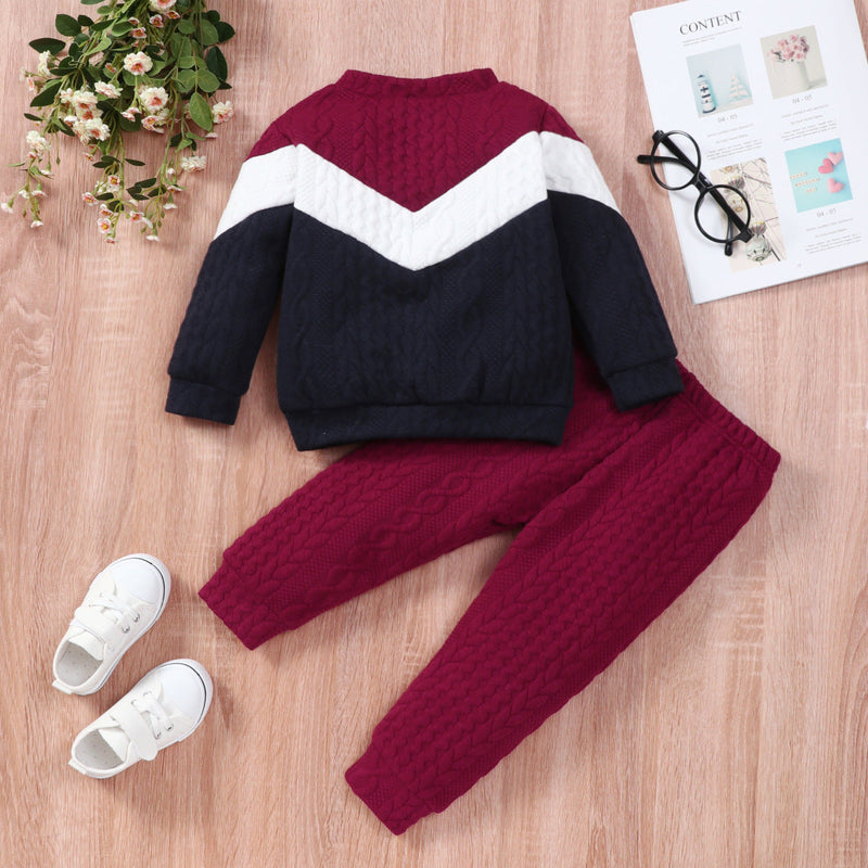 Boy Colorblock Sweater And Pants Toddler Boy Sets - PrettyKid