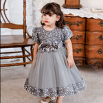 9months-4years Toddler Girl Dresses Children's Dress Girl Baby Wedding Dress Party Dresses For Kids Girls - PrettyKid