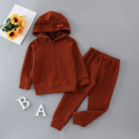 Brown Twist Ears Hoodie And Pants Wholesale Toddler Clothing Sets - PrettyKid