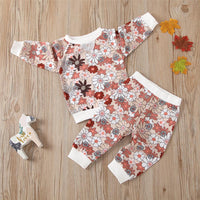 Toddler Girls Floral Long Sleeve Top & Pants Kids Wholesale Clothing - PrettyKid