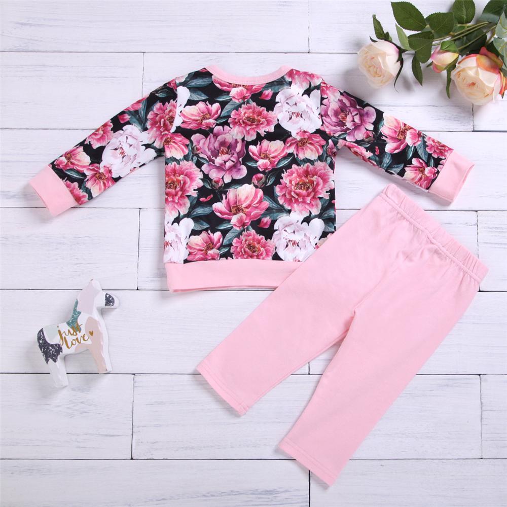 Toddler Girs Floral Printed Long Sleeve Top & Pants Toddler Girls Wholesale - PrettyKid