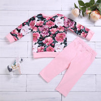 Toddler Girs Floral Printed Long Sleeve Top & Pants Toddler Girls Wholesale - PrettyKid