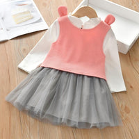 Girls Long Sleeve Top & Dress Wholesale Little Girl Dresses - PrettyKid