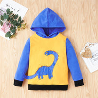 Boys Hooded Dinosaur Pattern Long Sleeve Jumper & Pants Kid Apparel Wholesale - PrettyKid