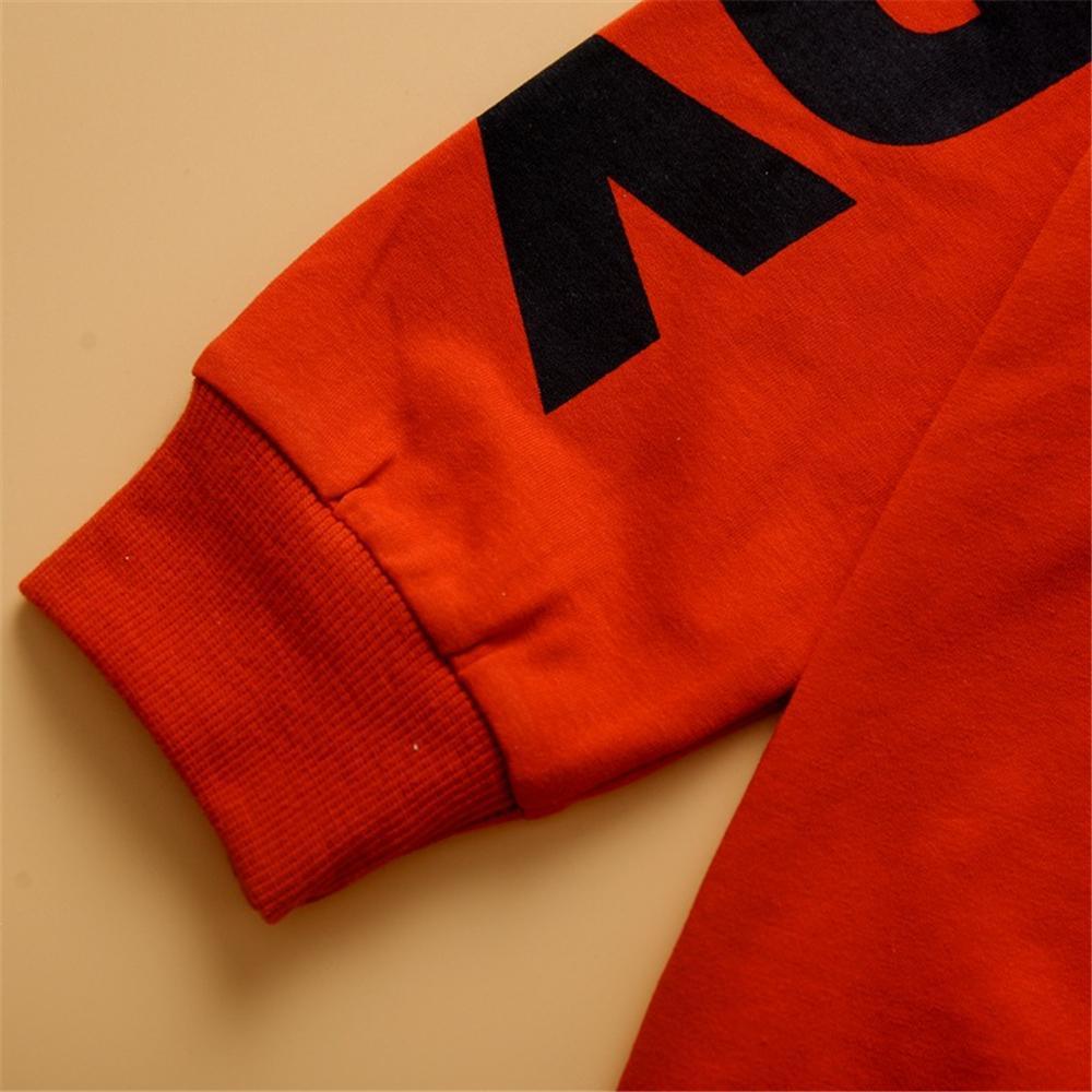 Toddler Boy Hooded Letter Color Block Tracksuit Kids Wholesale Clothing - PrettyKid