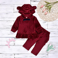 Toddler Girls Hooded Long Sleeve Top & Pants Baby Girl Wholesale - PrettyKid