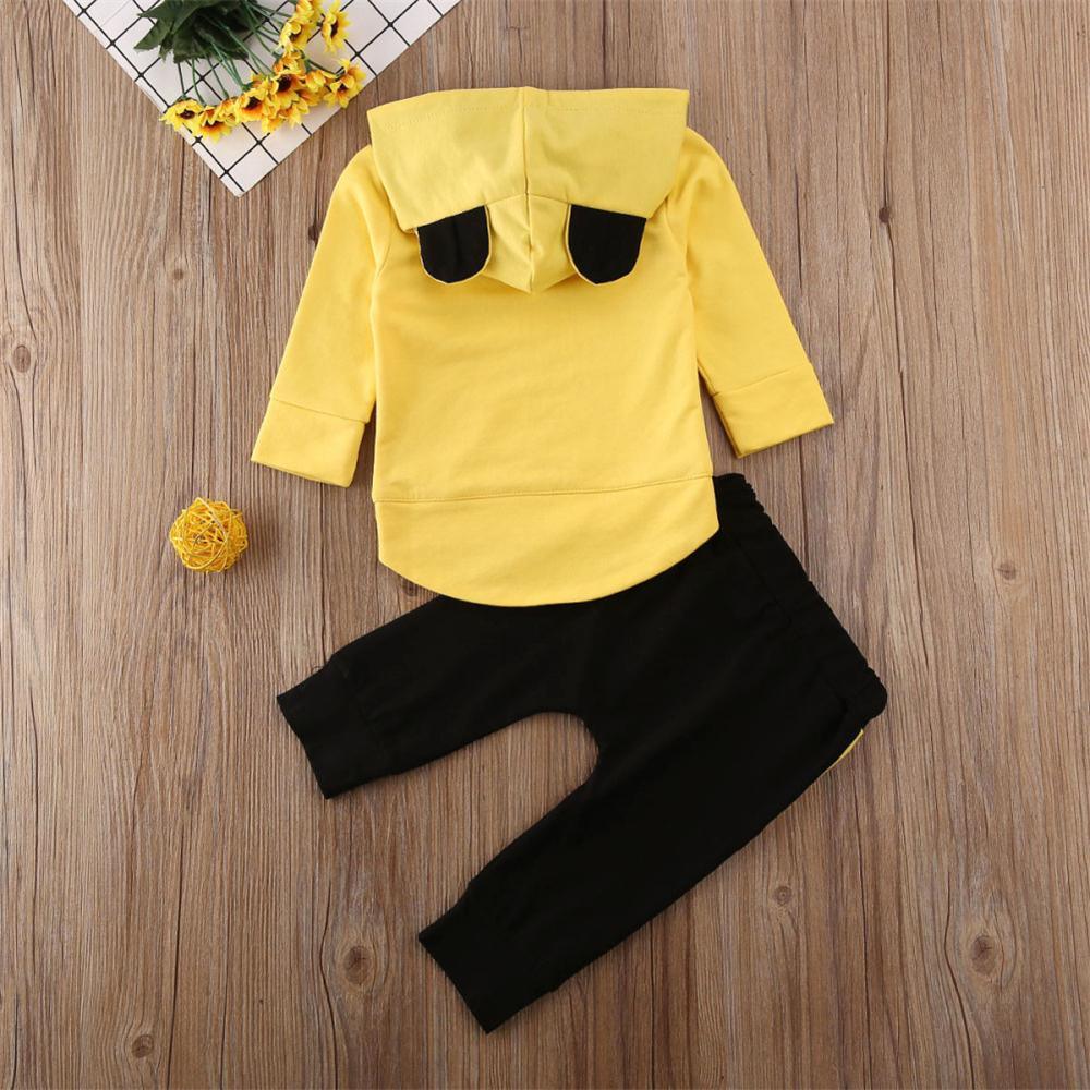 Baby Boys Hooded Long Sleeve Tops & Pants Wholesale - PrettyKid