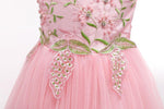 Girls Party Wedding Dress Princess Dress Embroidered Sleeveless Dress - PrettyKid